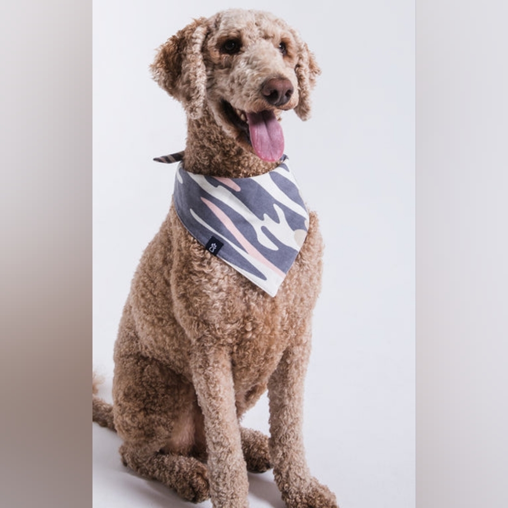 ZOO supply Camo Pink Dog Bandana New